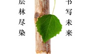 2016级广告学环保系列公益广告（朱潇洒、任亚蒙、焦云莉）
